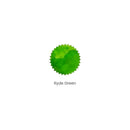 Robert Oster Ink Bottle (50ml) - Regular - Green - EndlessPens