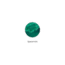 Robert Oster Ink Bottle (50ml) - Regular - Green - EndlessPens