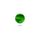 Robert Oster Ink Bottle (50ml) - Regular - Green - EndlessPens