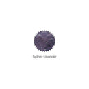 Robert Oster Ink Bottle (50ml) - Regular - Purple - EndlessPens