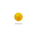 Robert Oster Ink Bottle (50ml) - Regular - Yellow & Gold - EndlessPens