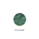 Robert Oster Ink Bottle (50ml) - Sinner's Ink - EndlessPens