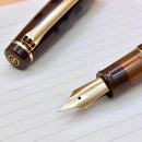 Sailor Pro Gear Iriomote Cat Fountain Pen - Limited Edition (2026) - Pen and Cap Cover on Top of Paper | EndlessPens