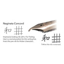 Sailor Fountain Pen - Specialty Nib - Naginata Concord | EndlessPens Online Pen Store