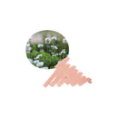 Sailor Ink Cartridge (8-Pack) - Shikiori - Kusa Asobi