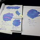 Van Dieman's Professional - Natura Dualis NightFall Dual Tone Fountain Pen Ink - EndlessPens