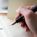 Visconti Fountain Pen - Homo Sapiens - Bronze Age - EndlessPens