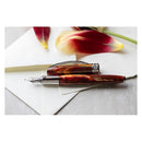 Visconti Van Gogh Red Vineyard Fountain Pen - Pen and Cap Cover | Endlesspens