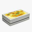 Visconti Van Gogh Sunflowers Fountain Pen - Pen Box | EndlessPens