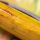 Visconti Van Gogh Sunflowers Fountain Pen - Pen Body Close Up Details | EndlessPens