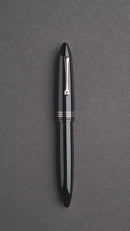 Leonardo Fountain Pen - Furore Redesigned - Notte di Furore (Stainless Steel)