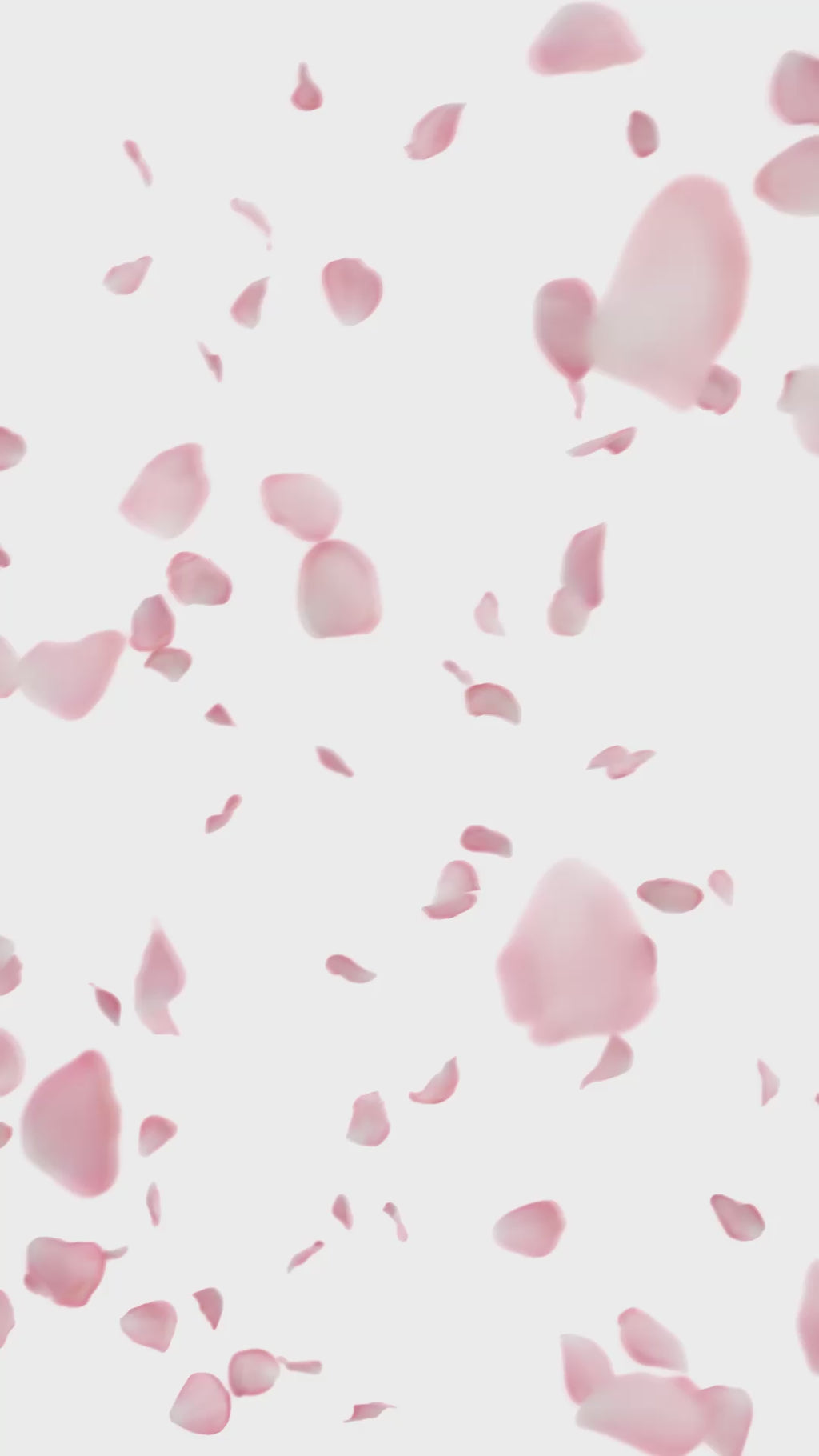 Pelikan M200 World Festival Series Cherry Blossom Fountain Pen | EndlessPens