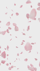 Pelikan M200 World Festival Series Cherry Blossom Fountain Pen | EndlessPens