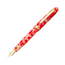 Platinum Fountain Pen - Celluloid | EndlessPens Online Shop
